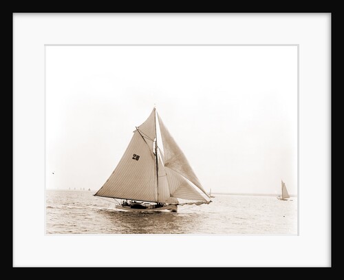 Polly (Yacht) by Anonymous