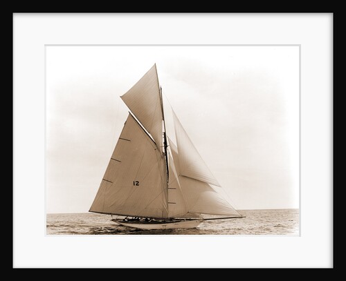 Beatrix, Harpoon (Yacht) by Anonymous