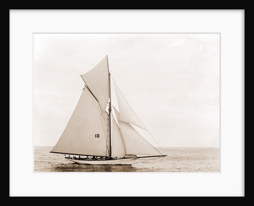Thelma (Yacht) by Anonymous
