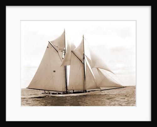Mayflower (Schooner), 1891 by Anonymous