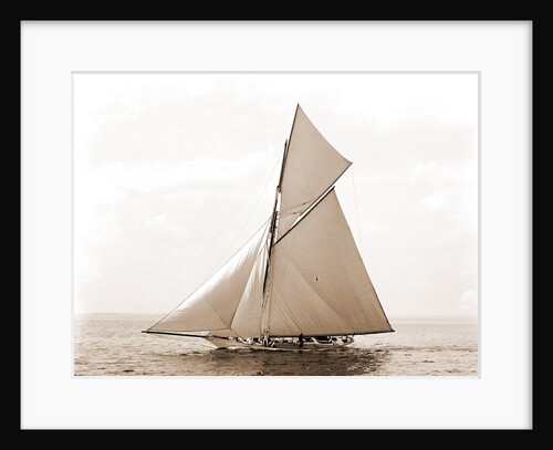 Beatrix, Harpoon (Yacht) by Anonymous