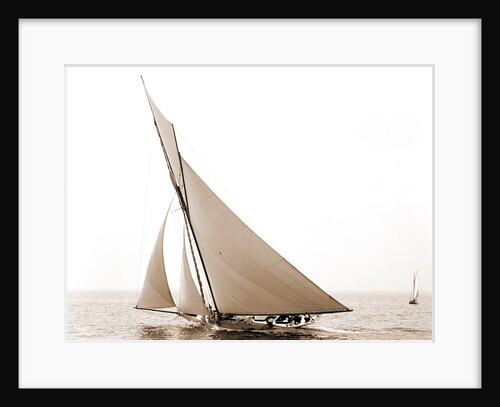 Beatrix, Harpoon (Yacht) by Anonymous