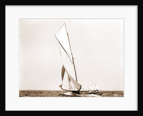 Beatrix, Harpoon (Yacht) by Anonymous