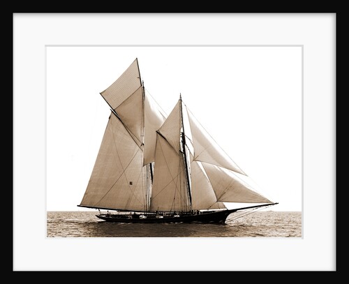Fortuna, Goelet Cup Race, Fortuna (Schooner), 1891 by Anonymous