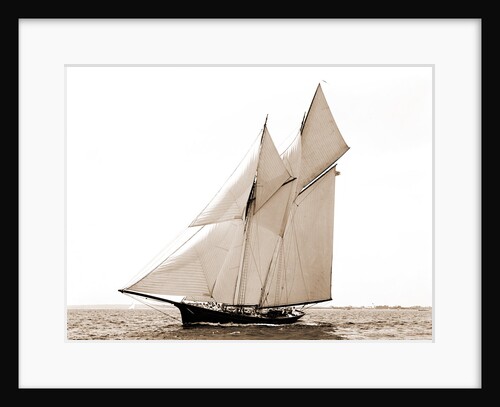 Iroquois, Goelet Cup Race, Iroquois (Schooner), 1891 by Anonymous