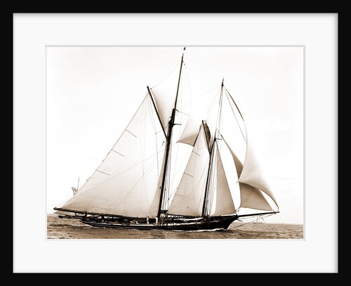 Constellation (Schooner), 1891 by Anonymous