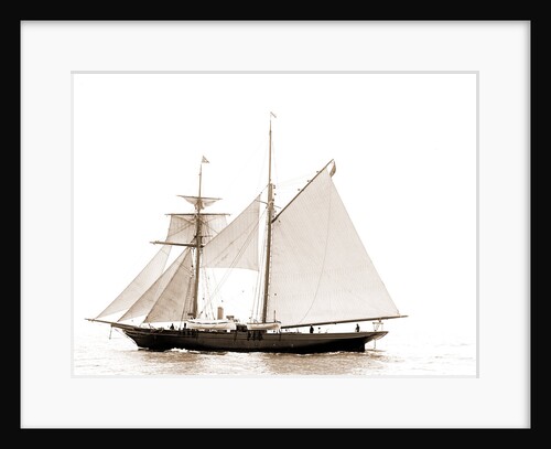 Golden Fleece, Satanella (Steam yacht), 1891 by Anonymous