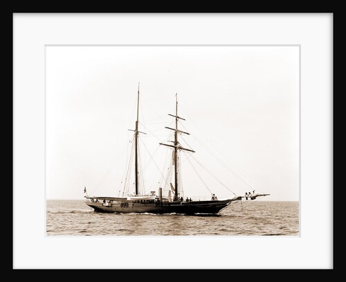 Golden Fleece, Satanella (Steam yacht), 1891 by Anonymous
