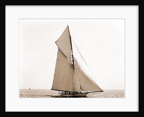 Mineola, Corinthian Sweepstakes, August 17, 1891, Corinthian Yacht Club, Mineola (Yacht) by Anonymous