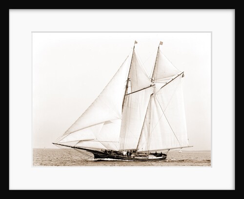 Adrienne (Schooner), 1883 by Anonymous