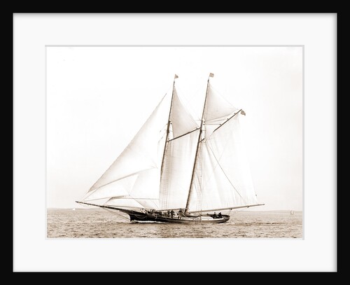 Adrienne (Schooner), 1883 by Anonymous