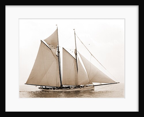 Mayflower (Schooner), 1891 by Anonymous