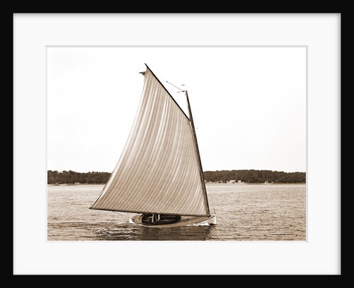 Rocket (Sailboat), 1880 by Anonymous