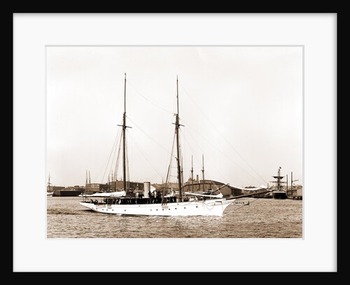 Wild Duck (Steam yacht), 1891 by Anonymous