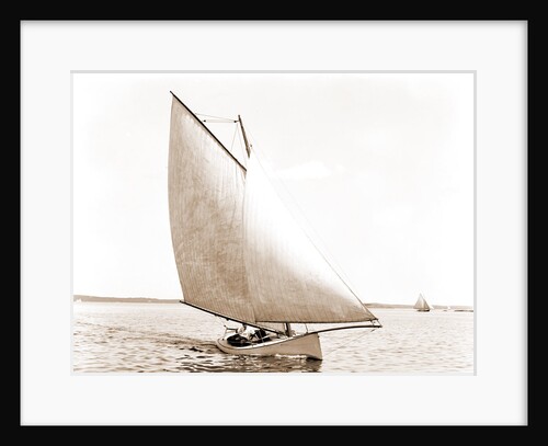 Josephine (Sailboat), 1880 by Anonymous