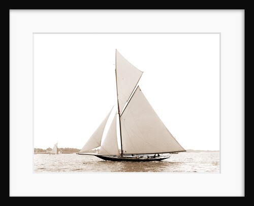 Wasp (Sloop), 1892 by Anonymous