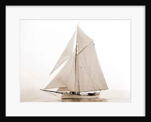 Daphne (Yacht) by Anonymous