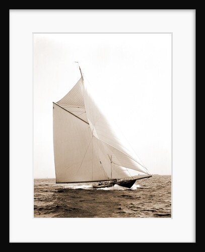 Wasp (Sloop), 1892 by Anonymous
