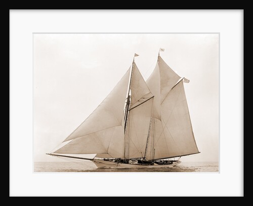 Oenone (Schooner), 1892 by Anonymous