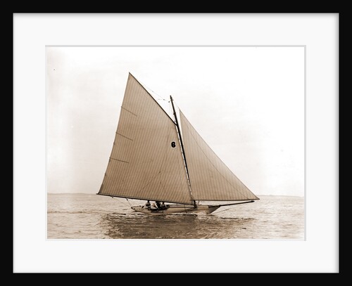Tadpole (Yacht) by Anonymous
