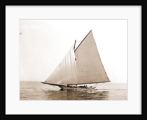 Tadpole (Yacht) by Anonymous