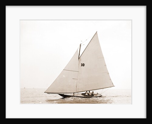 Vanessa Eastern Yacht Club regatta, Vanessa (Yacht) by Anonymous