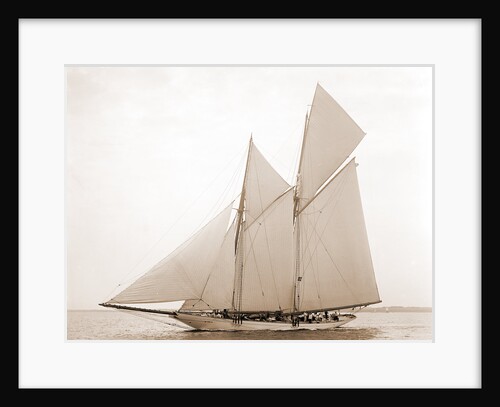 Alcaea (Schooner), 1892 by Anonymous