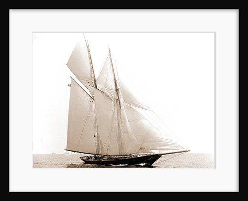 Lasca (Schooner), 1892 by Anonymous