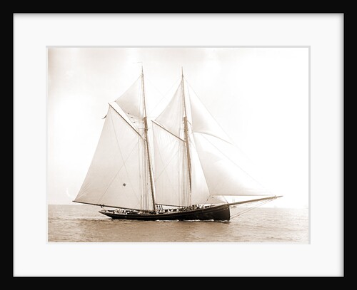 Alert (Schooner), 1892 by Anonymous