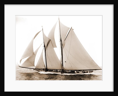 Alcaea (Schooner), 1892 by Anonymous