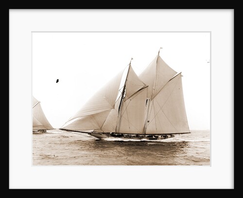 Alcaea (Schooner), 1892 by Anonymous