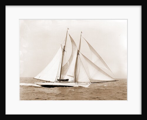 Oenone (Schooner), 1892 by Anonymous