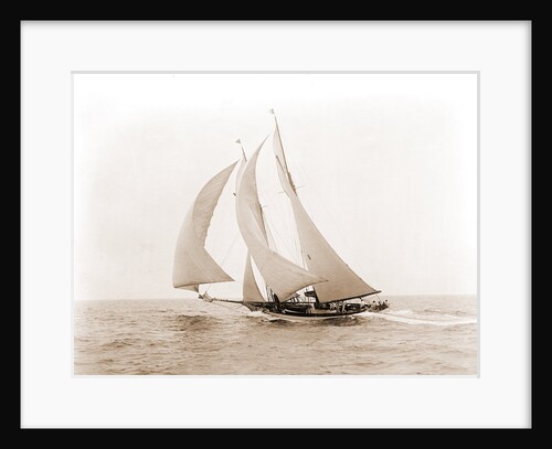 Quickstep (Schooner), 1892 by Anonymous