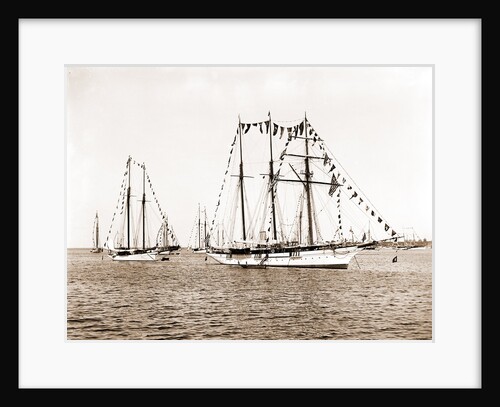 Sultana (Steam yacht), 1892 by Anonymous