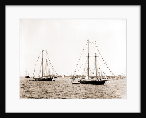 N.Y.Y.C. fleet, Vineyard Haven, New York Yacht Club, Yacht clubs, Massachusetts, Vineyard Haven, 1892 by Anonymous