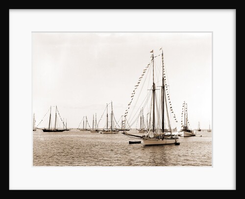 N.Y.Y.C. fleet, Vineyard Haven, New York Yacht Club, Yacht clubs, Massachusetts, Vineyard Haven, 1892 by Anonymous