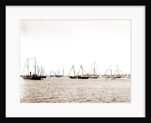 N.Y.Y.C. fleet, Vineyard Haven, August 7, '92, New York Yacht Club, Yacht clubs, Massachusetts, Vineyard Haven, 1892 by Anonymous
