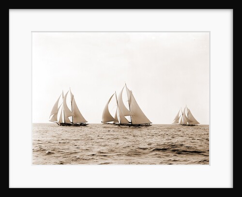 Ramona, Alcaea, and Merlin, Ramona (Schooner), 1892 by Anonymous