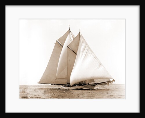 Merlin (Schooner), 1892 by Anonymous