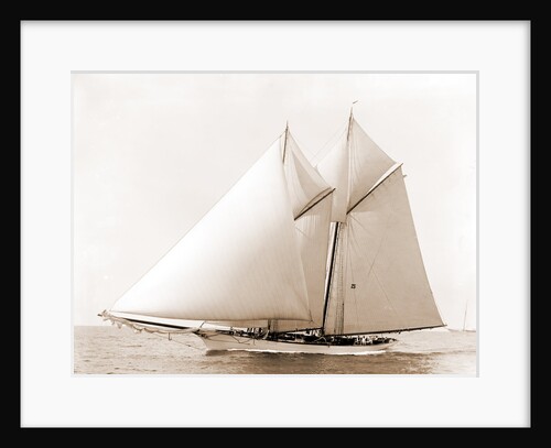 Merlin (Schooner), 1892 by Anonymous