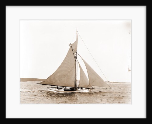 Babboon (Yacht) by Anonymous