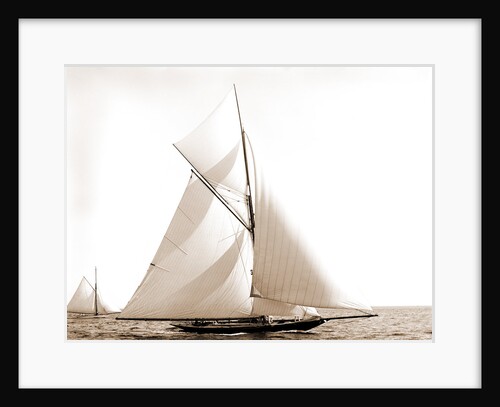 Wasp (Sloop), 1892 by Anonymous