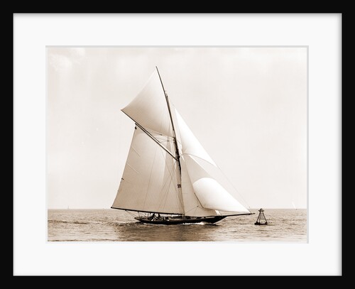 Wasp (Sloop), 1892 by Anonymous
