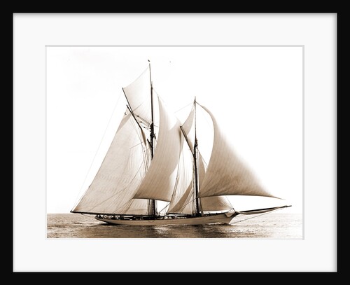 Merlin (Schooner), 1892 by Anonymous