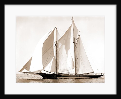 Constellation (Schooner), 1892 by Anonymous