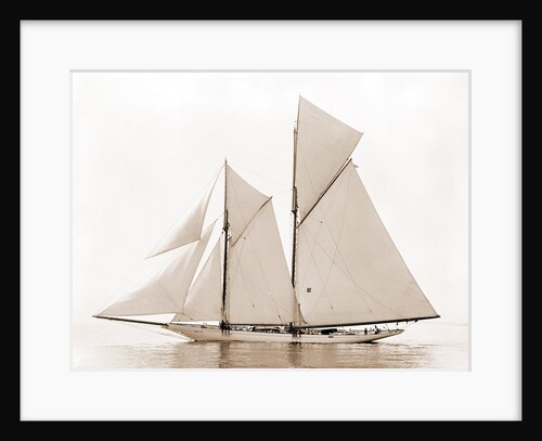 Alcaea (Schooner), 1892 by Anonymous
