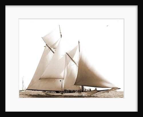 Constellation (Schooner), 1892 by Anonymous