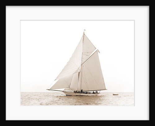 Ilderim (Sloop), 1892 by Anonymous