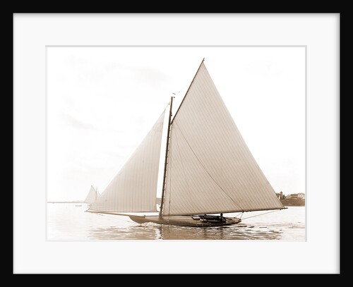 Freak (Yacht) by Anonymous