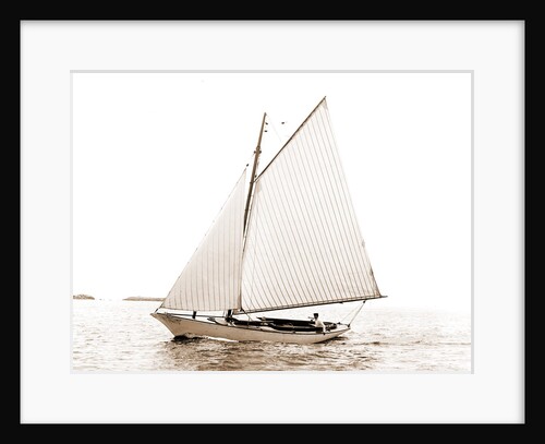 Carl (Sailboat), 1880 by Anonymous